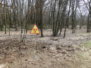 2016-04-08T14-11-01_P1090402