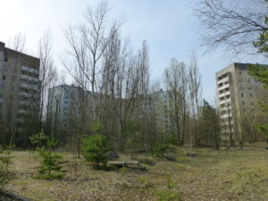 2016-04-08T15-38-22_P1090542